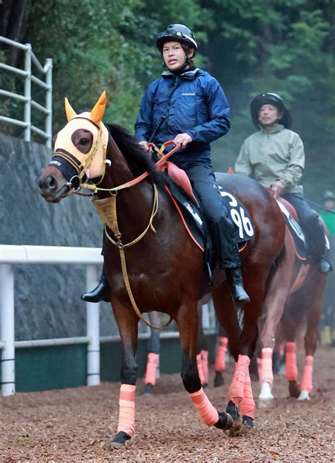 【デイリー杯2歳s】スタニングローズ能力発揮だ 高野師「回復がいいのでチャレンジ」 競馬ニュース Netkeiba