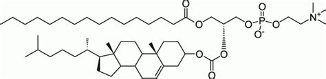 PChcPC 1 Palmitoyl 2 Cholesterylcarbonoyl Sn Glycero 3 Phosphocholine