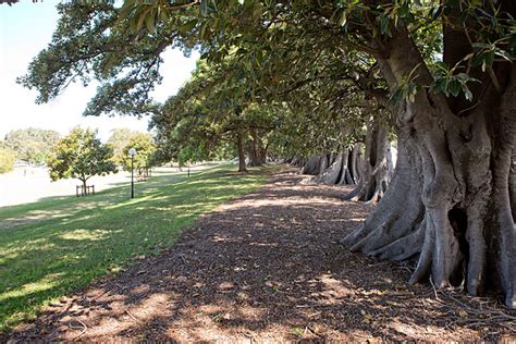 Islington Park re-opens to public | The National Tribune