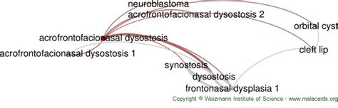 Acrofrontofacionasal Dysostosis Disease Malacards Research Articles