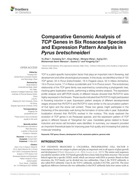 Pdf Comparative Genomic Analysis Of Tcp Genes In Six Rosaceae Species