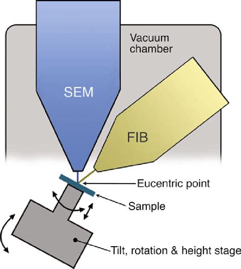 Schematic Of A Dual Beam Fib Sem Setup Illustrating A Vertical Sem