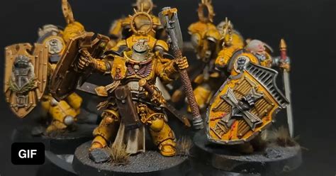 Imperial Fists Bladeguard Veterans Unit 9GAG