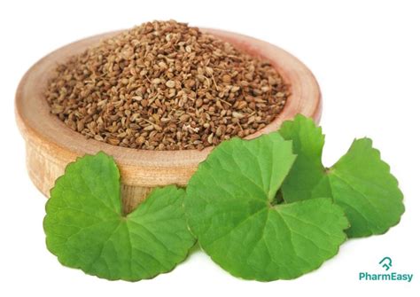 Ajwain Uses Benefits Side Effects And More Pharmeasy Blog