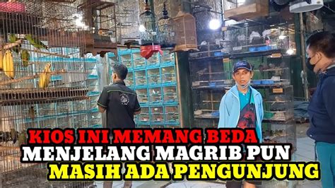 HARGA BURUNG MENJELANG IDUL ADHA DI PASAR BURUNG PRAMUKA KIOS KANG SAFI