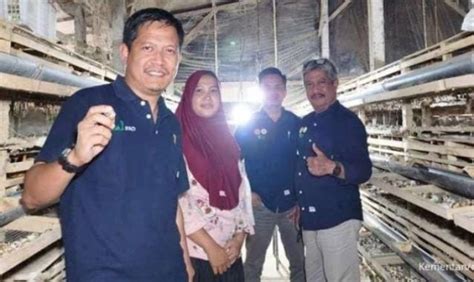 Kisah Sukses Galih Pawestri Kelola Ribuan Burung Puyuh