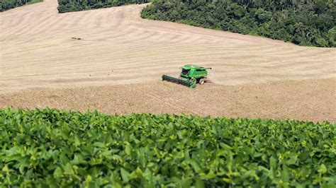 Aceleração no plantio de feijão Foco Rural O agro fala Você entende