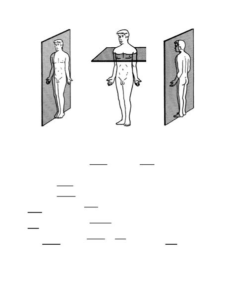 Figure 1-3, A. The sagittal plane. B. The horizontal plane. C. The ...