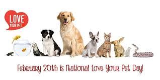 National Love Your Pet Day The Center For Independent Living Western