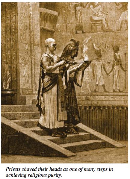 Priests Of Temples In Egypt