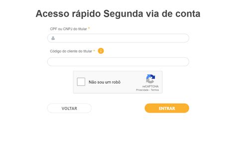 Como Emitir E Pagar Segunda Via Da Conta Light Pelo Cpf