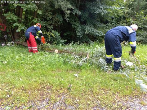 Baum Droht Auf Stra E Zu St Rzen Freiwillige Feuerwehr Maria Lankowitz