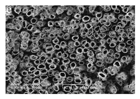 Top And Cross Section Views Of Ti Nb Zr O Nanotubes Grown On Ti Nb Zr