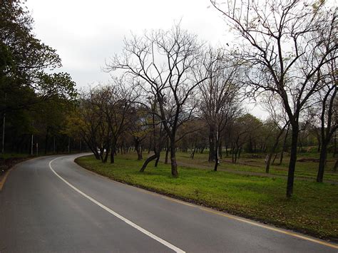 Islamabad In Autumn A Beautiful Autumn Evening In Islamaba Mus24