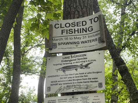 Local | News | Burlington Free Press