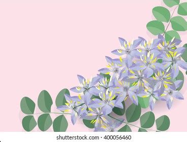 Lignum Vitae Flowers Blue Flower Leaves Stock Vector (Royalty Free ...