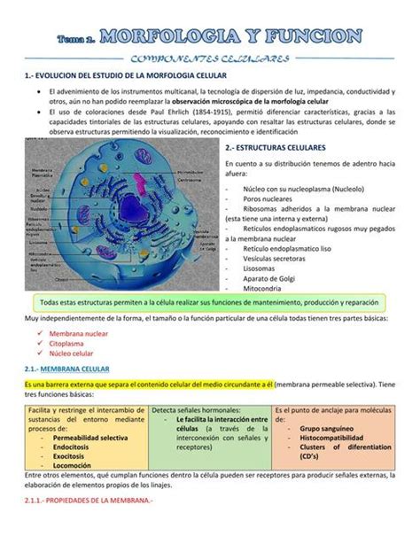 Hematología Morfología Celular Flavia uDocz