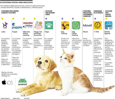 Conozca Cuáles Son Las Plataformas Para El Cuidado Y El Bienestar De