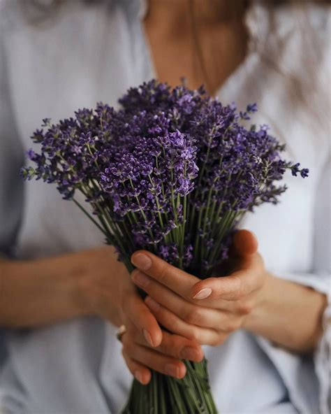 Lavender Cosmetics | Лаванда | Косметика с лавандой | Букет лаванды @pl ...