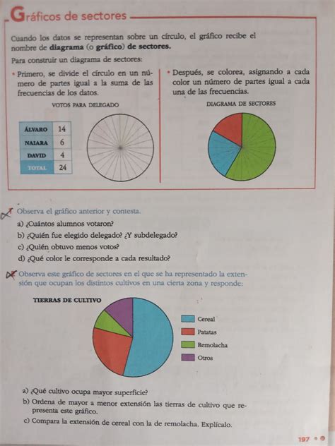 Blog C E I P Jaime Balmes Mates 5º Gráfico De Sectores