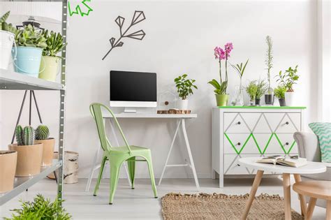 How Would You Set Up An Eco Friendly Home Office Tips Tricks