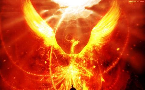 4K Phoenix Bird Wallpapers - Top Free 4K Phoenix Bird Backgrounds ...