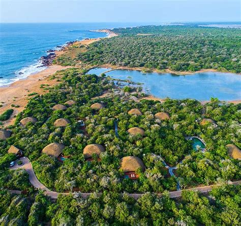 Chena Huts Yala Strict Nature Reserve Lanka Holidays