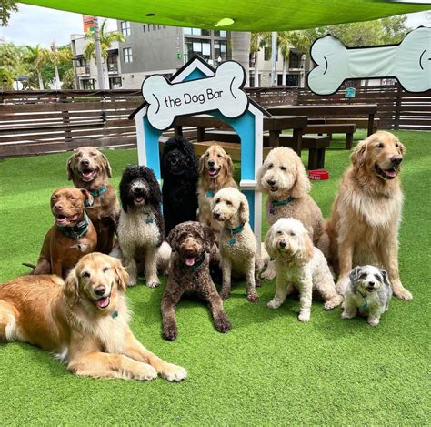 Most Dog Friendly Us Cities Best Dog Parks In America