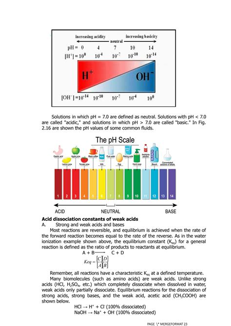 SOLUTION Biochemistry Study Guide 4 Ph And Buffer Studypool