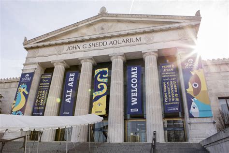 Shedd Aquarium