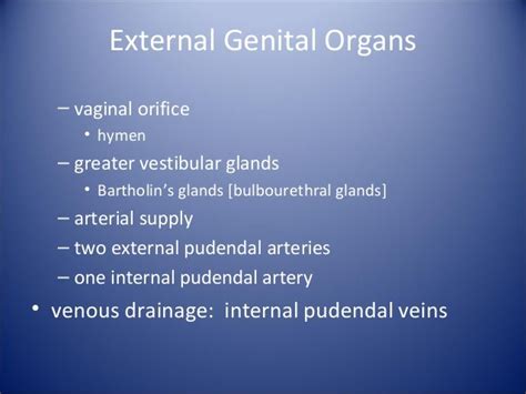 Anatomy Of Female Genital Tract