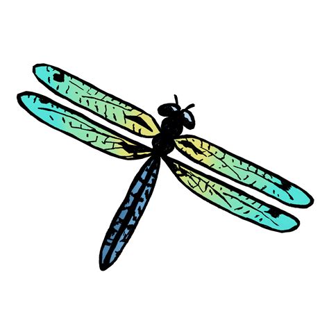 Easy Dragonfly Drawing Steps The Graphics Fairy