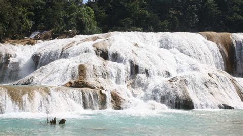 Cascadas de Agua Azul Misol há y Palenque CHIAPAS Ruta21 mx