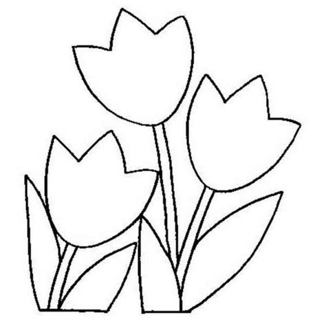 Dibujo De Tulipanes Primavera Para Colorear Para