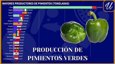 Los Mayores Productores De PIMIENTOS VERDES Del MUNDO YouTube