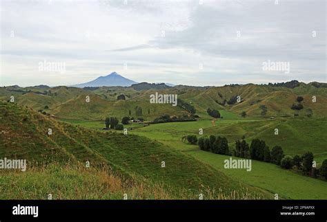 Landscape with Taranaki volcano - New Zealand Stock Photo - Alamy