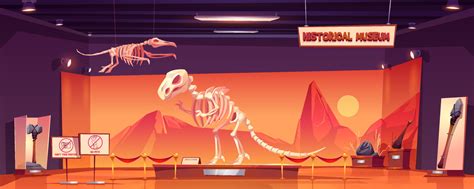 Dinosaur skeleton in museum of history, exhibition 15680608 Vector Art ...