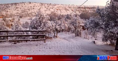 Hoy Tamaulipas Reportan Nevadas En 15 Municipios De Chihuahua