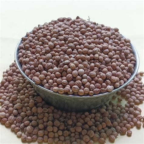 Grade Badami Dried Brown Coriander Seed Form Seeds At Rs 85 Kg In Kanpur