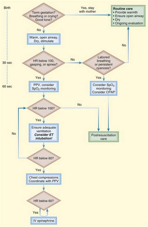 Neonatal Cardiopulmonary Resuscitation Anesthesia Key