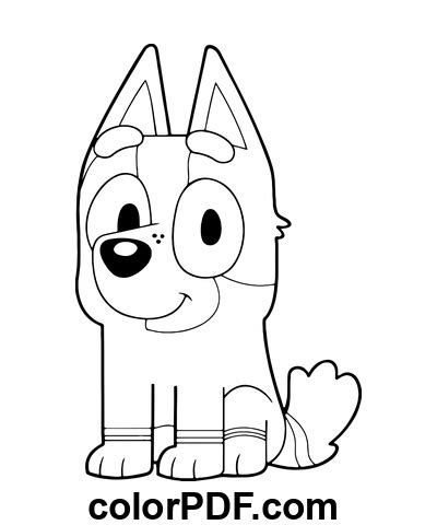 Chaussettes Heeler De Bluey Coloriages Et Livres En PDF