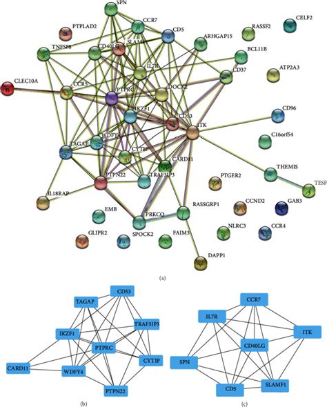 Identification Of Key Genes In The HBV Related HCC Immune