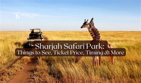 Sharjah Safari Park: Things to See, Ticket Price, Timing & More