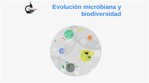 Evolucion Microbiana Y Biodiversidad By Frida Ramos On Prezi