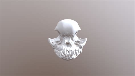 Pug Skull - Download Free 3D model by voxinaudita [ff5e8ef] - Sketchfab