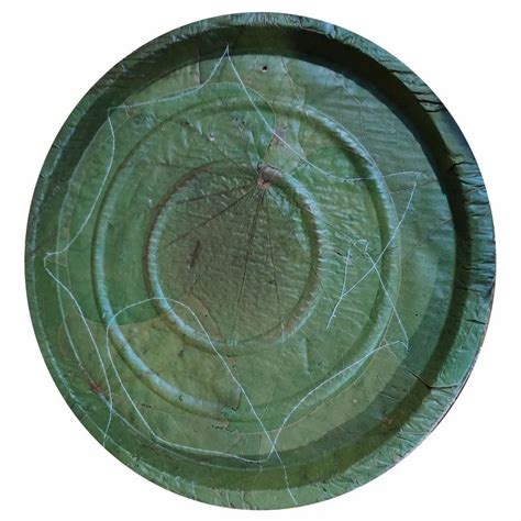 Disposable Sal Leaf Buffet Plate Size 14inch At Rs 5 2 Piece In