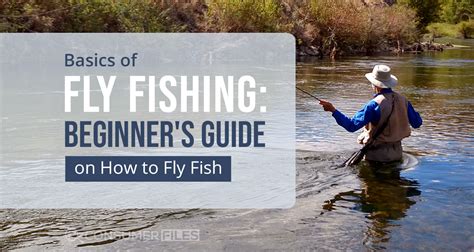 Basics of Fly Fishing: Beginner's Guide on How to Fly Fish