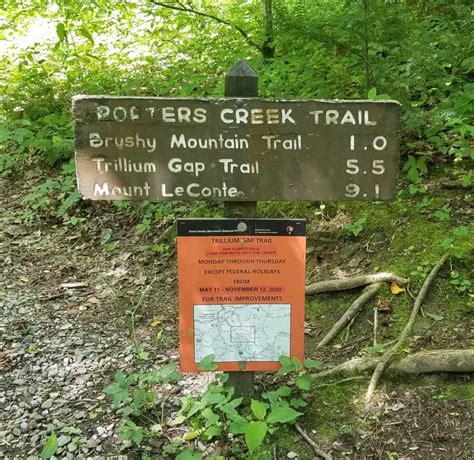 Porters Creek Trail Smoky Mountain Hikes Pigeonforge