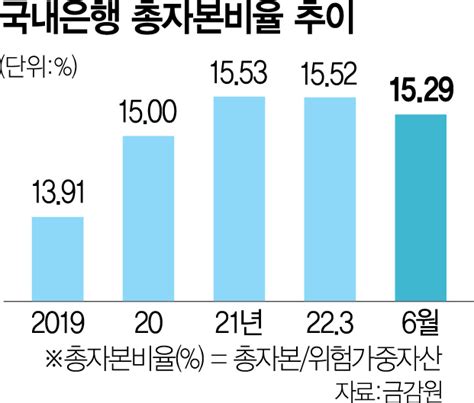 국내은행 자본비율 일제히 하락대내외 충격 대비해야 서울경제