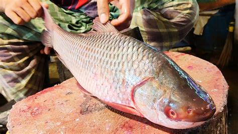 Excellent Cutting Skills Giant Rohu Fish Cutting Skills Live In Fish